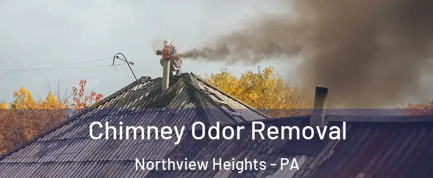 Chimney Odor Removal Northview Heights - PA