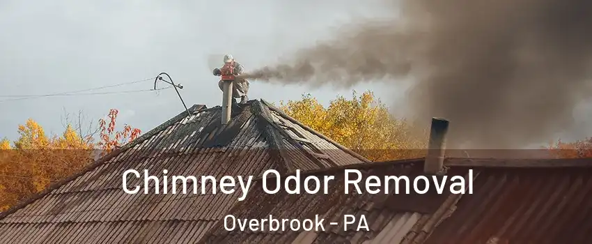 Chimney Odor Removal Overbrook - PA