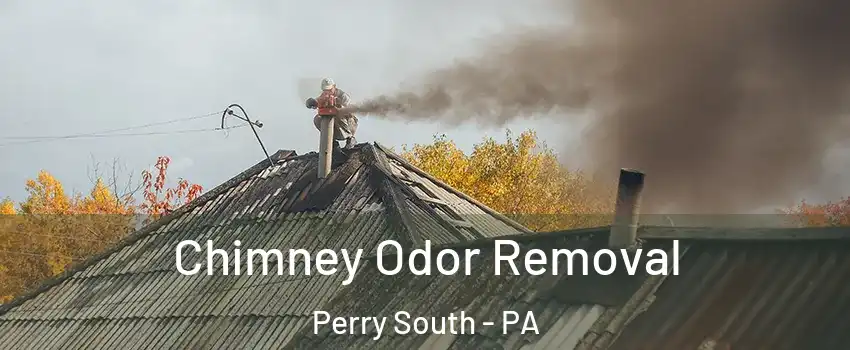 Chimney Odor Removal Perry South - PA
