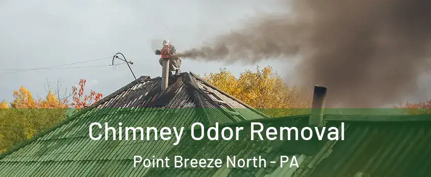 Chimney Odor Removal Point Breeze North - PA
