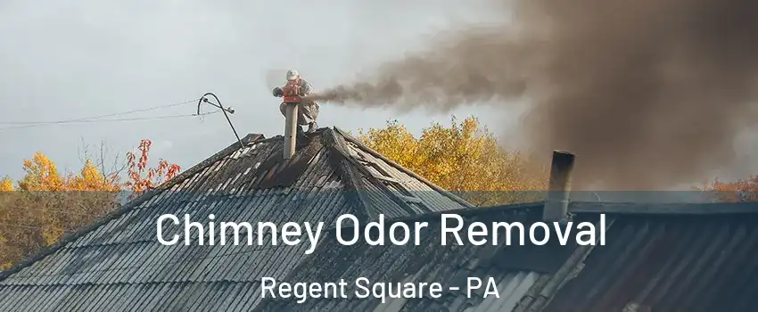 Chimney Odor Removal Regent Square - PA