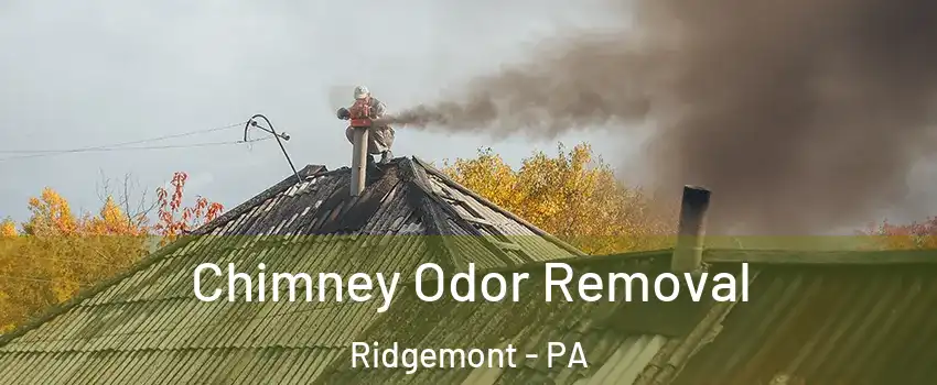Chimney Odor Removal Ridgemont - PA