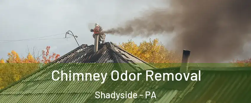 Chimney Odor Removal Shadyside - PA