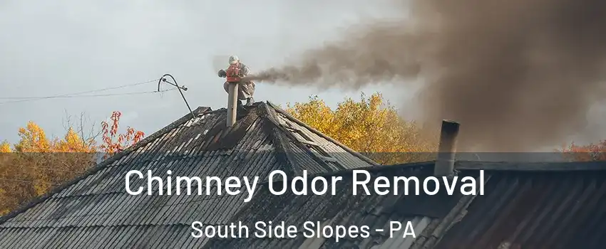 Chimney Odor Removal South Side Slopes - PA