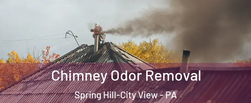 Chimney Odor Removal Spring Hill-City View - PA