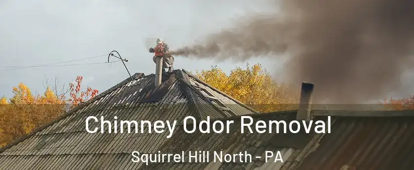 Chimney Odor Removal Squirrel Hill North - PA