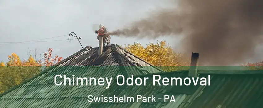 Chimney Odor Removal Swisshelm Park - PA