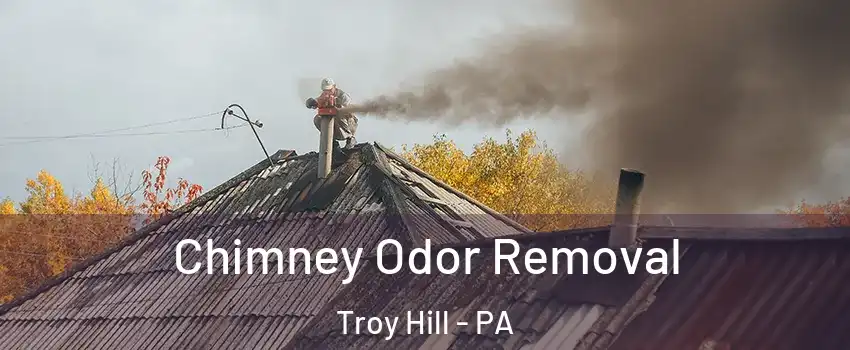 Chimney Odor Removal Troy Hill - PA