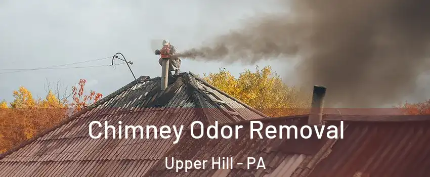 Chimney Odor Removal Upper Hill - PA