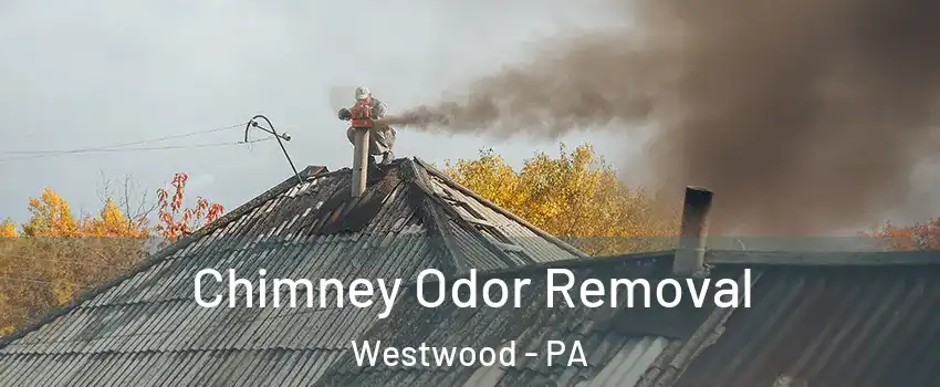 Chimney Odor Removal Westwood - PA