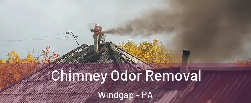 Chimney Odor Removal Windgap - PA