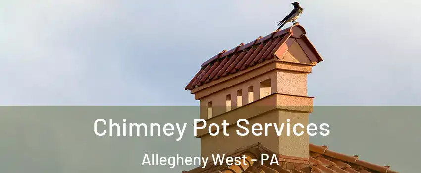 Chimney Pot Services Allegheny West - PA