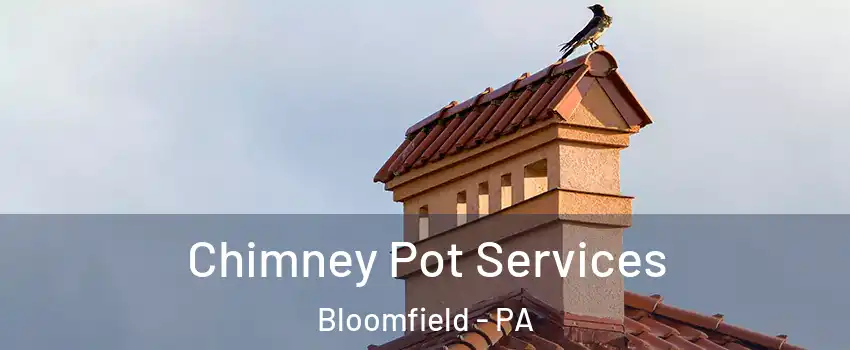 Chimney Pot Services Bloomfield - PA