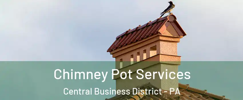Chimney Pot Services Central Business District - PA