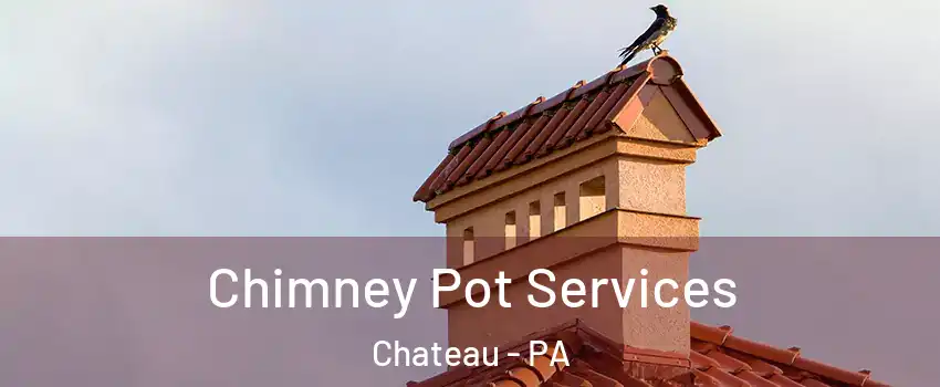 Chimney Pot Services Chateau - PA