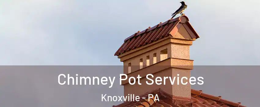 Chimney Pot Services Knoxville - PA
