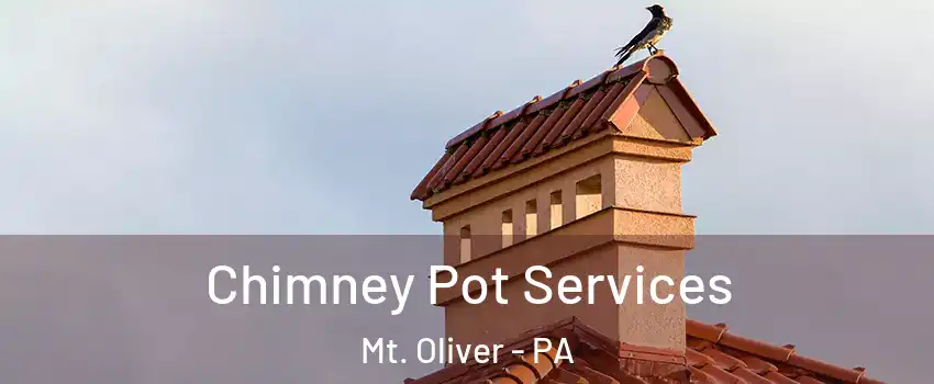 Chimney Pot Services Mt. Oliver - PA