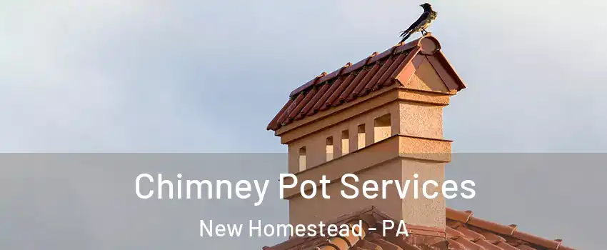 Chimney Pot Services New Homestead - PA