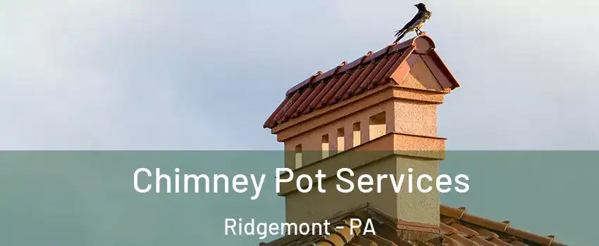 Chimney Pot Services Ridgemont - PA