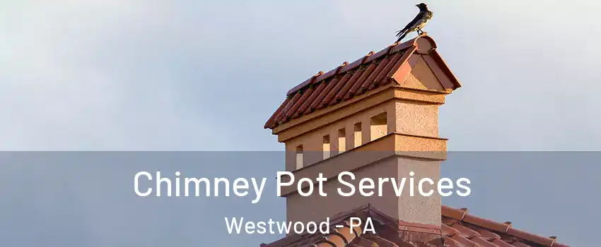 Chimney Pot Services Westwood - PA