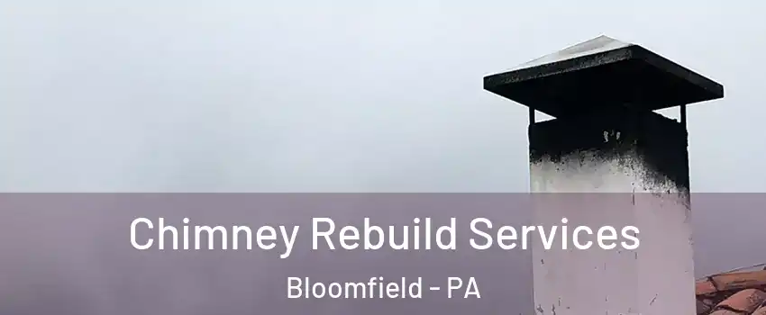 Chimney Rebuild Services Bloomfield - PA