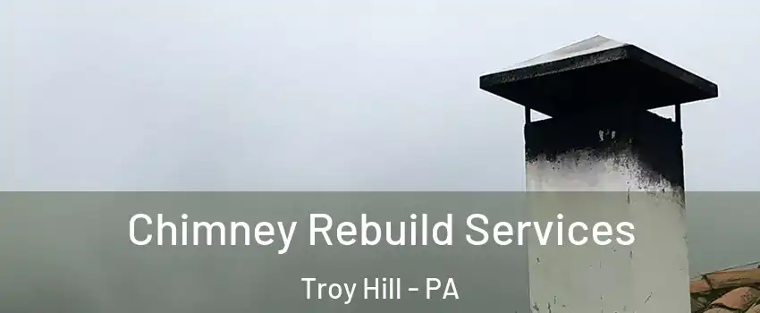 Chimney Rebuild Services Troy Hill - PA