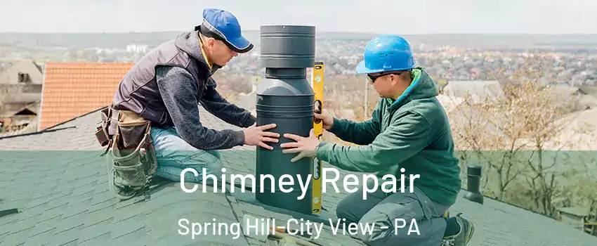 Chimney Repair Spring Hill-City View - PA