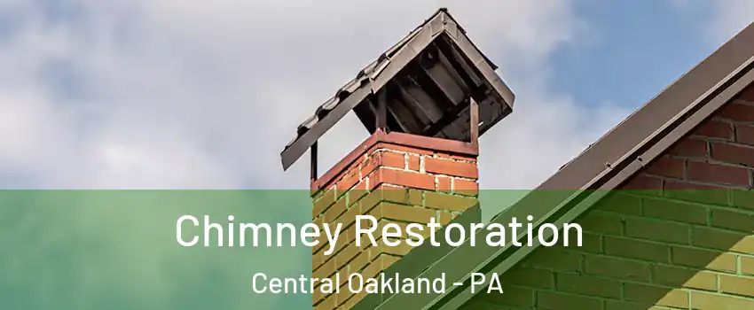 Chimney Restoration Central Oakland - PA