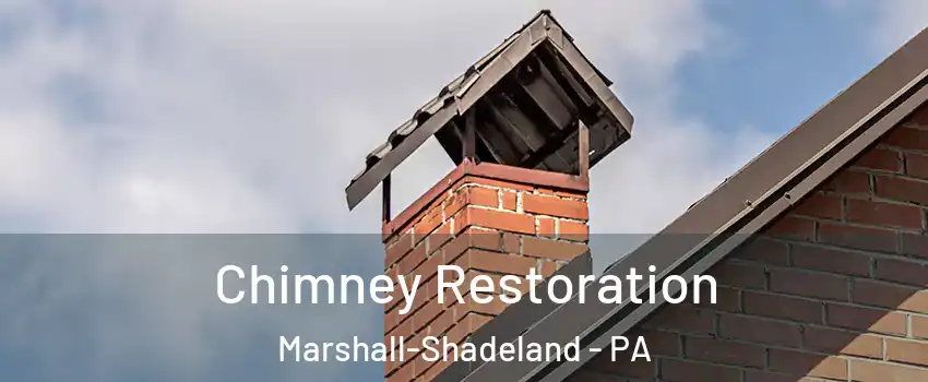 Chimney Restoration Marshall-Shadeland - PA