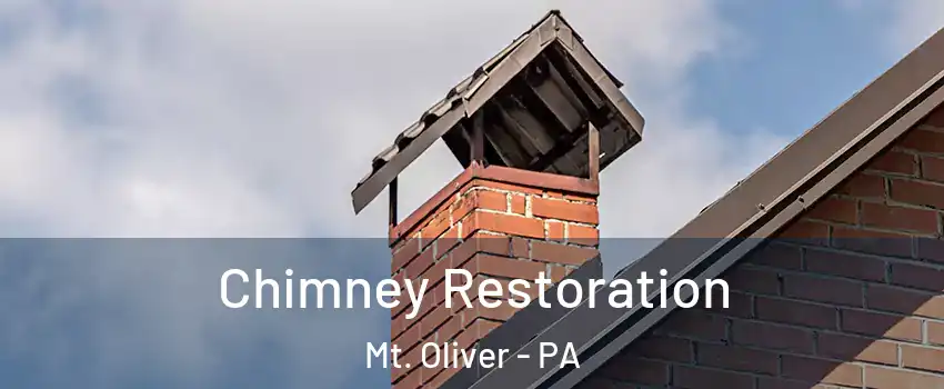 Chimney Restoration Mt. Oliver - PA