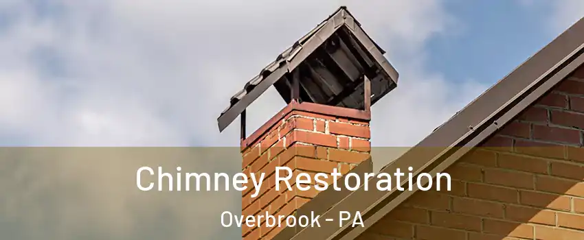 Chimney Restoration Overbrook - PA