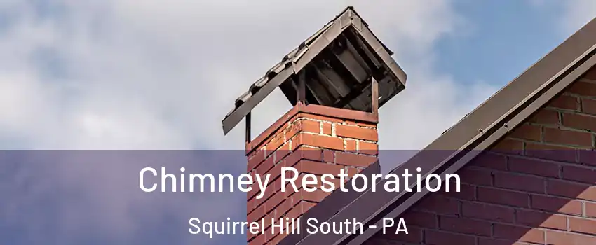 Chimney Restoration Squirrel Hill South - PA