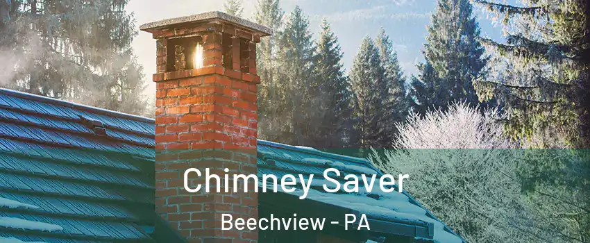 Chimney Saver Beechview - PA