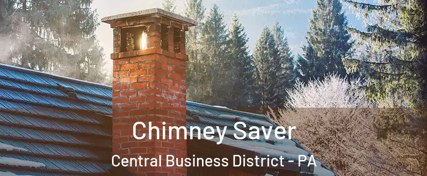 Chimney Saver Central Business District - PA