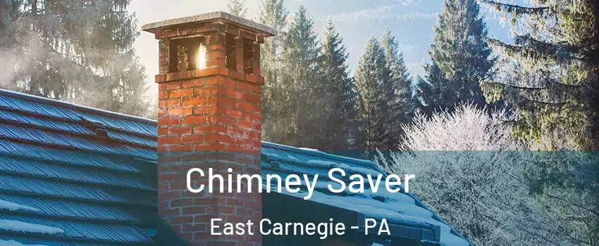 Chimney Saver East Carnegie - PA