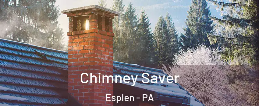Chimney Saver Esplen - PA