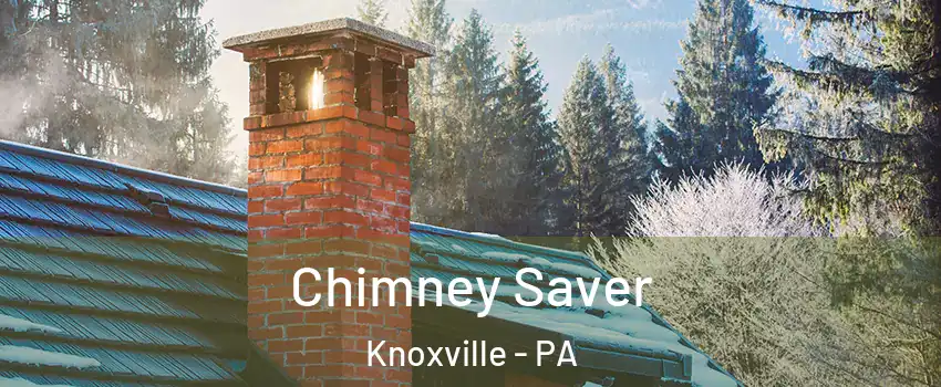 Chimney Saver Knoxville - PA