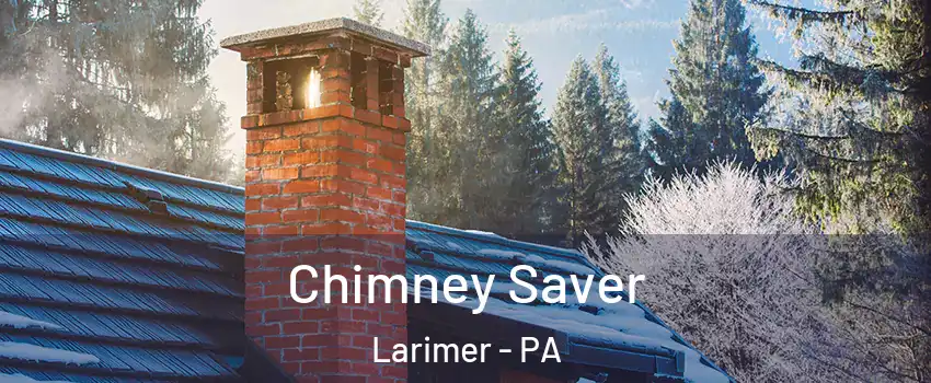 Chimney Saver Larimer - PA
