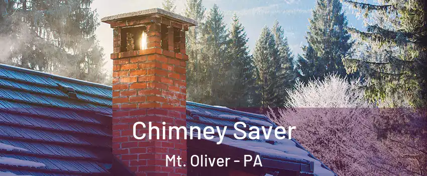 Chimney Saver Mt. Oliver - PA