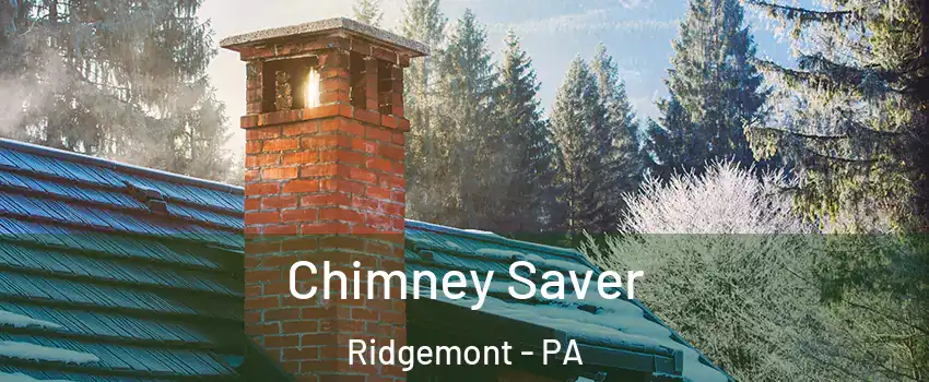Chimney Saver Ridgemont - PA