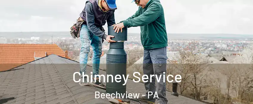 Chimney Service Beechview - PA