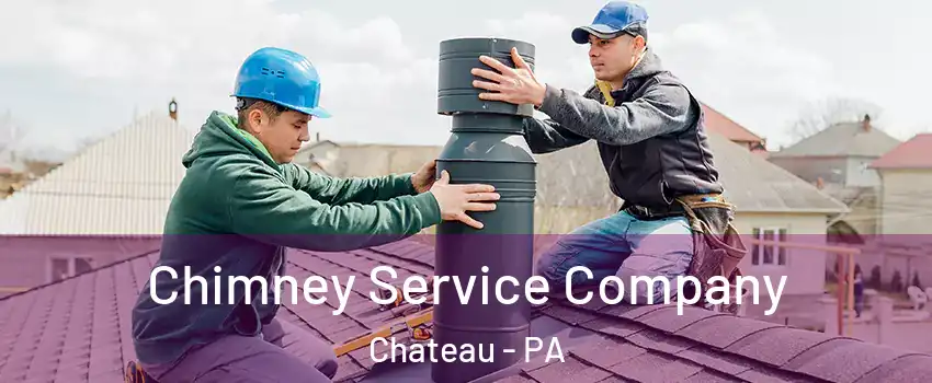 Chimney Service Company Chateau - PA