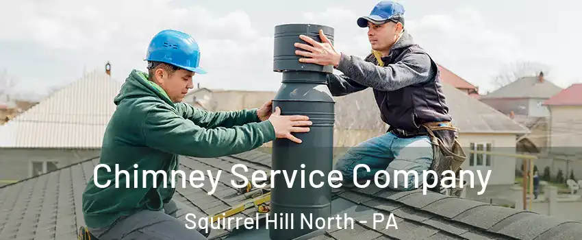 Chimney Service Company Squirrel Hill North - PA