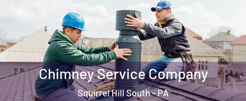 Chimney Service Company Squirrel Hill South - PA