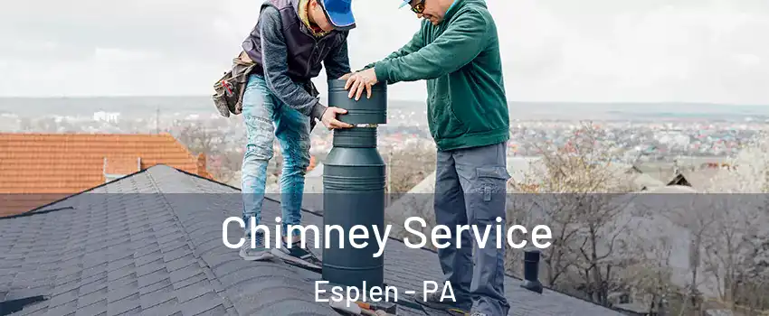 Chimney Service Esplen - PA