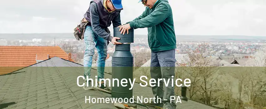 Chimney Service Homewood North - PA