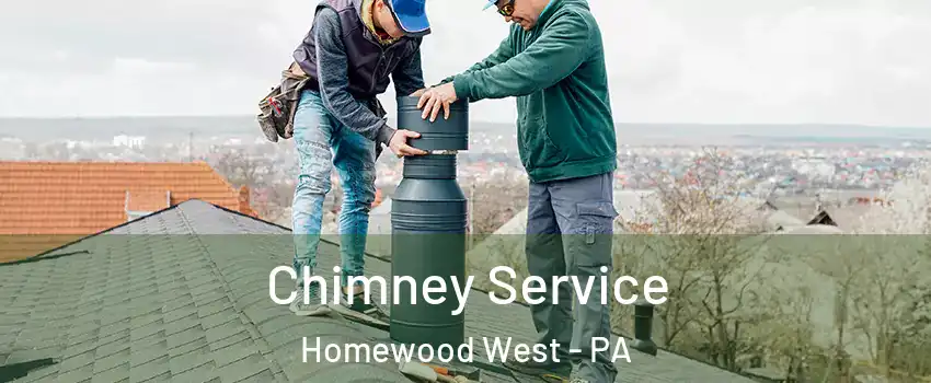 Chimney Service Homewood West - PA