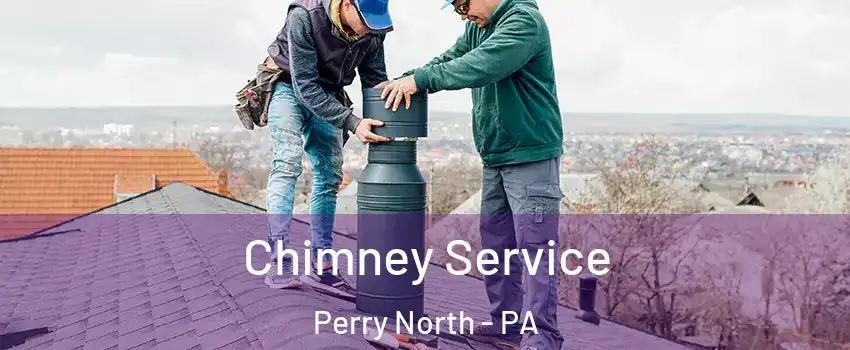 Chimney Service Perry North - PA