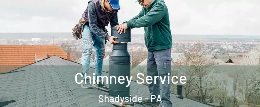 Chimney Service Shadyside - PA