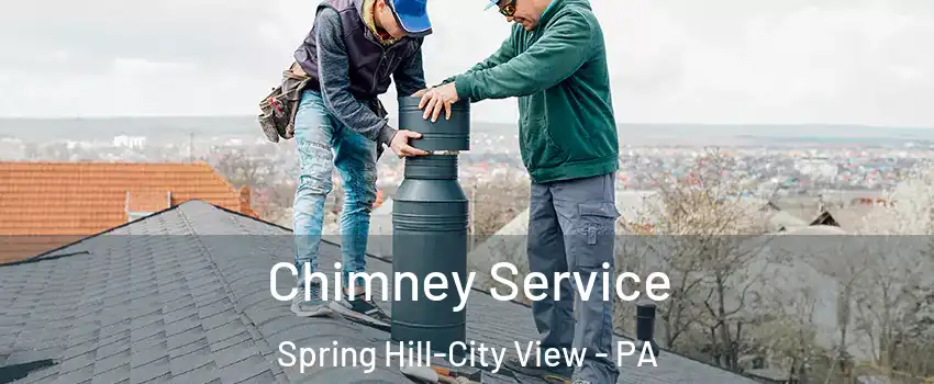 Chimney Service Spring Hill-City View - PA